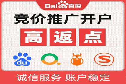 SEM托管服务实战案例：打造高效广告投放策略